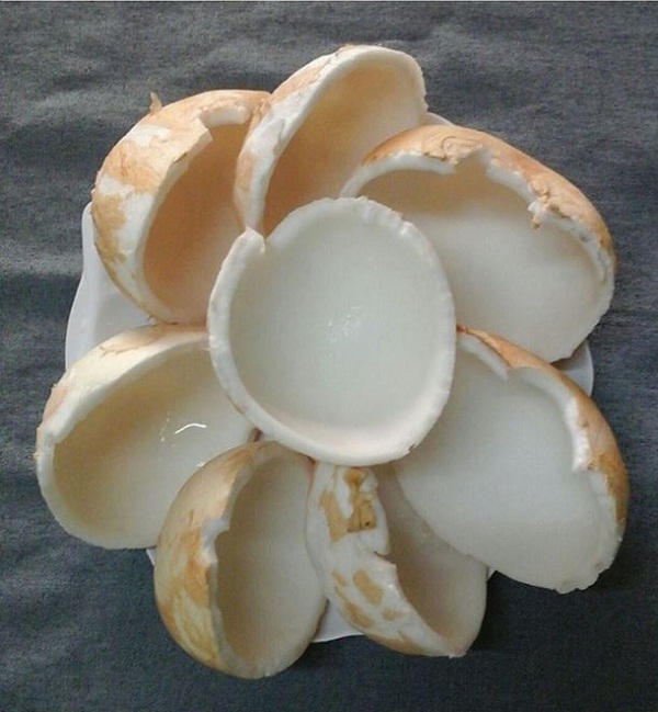 cách làm mứt dừa