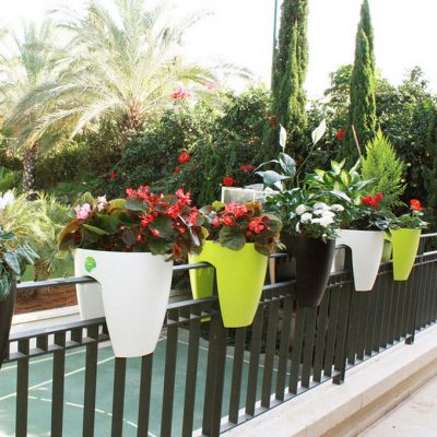 Biến sân thượng thành khu vườn cây cảnh thật đơn giản