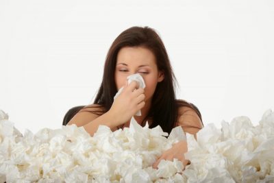 6 cách trị viêm mũi dị ứng khi thời tiết thất thường từ cây cỏ trong dân gian