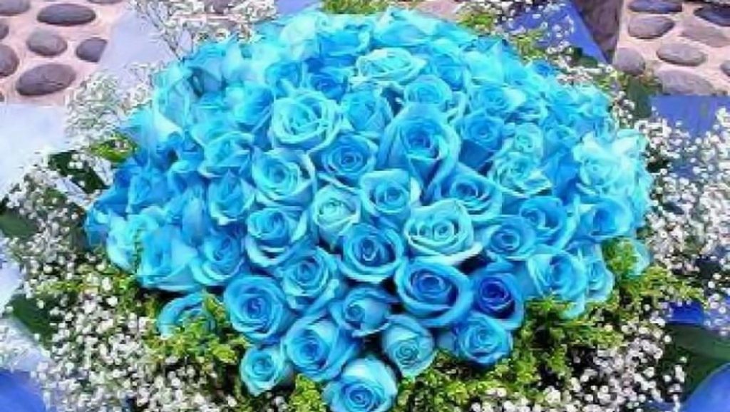 khử mùi hôi phòng ngủ hiệu quả