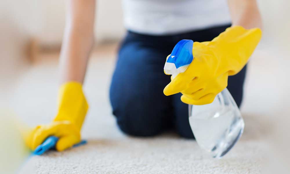 tại sao người giúp việc lại trở nên HOT