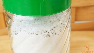 Mách bạn cách đuổi kiến ra khỏi đường đơn giản mà hiệu quả nhất