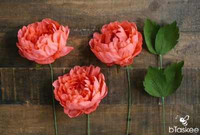 Khiến bức tường nở hoa với cách làm hoa treo tường bằng giấy