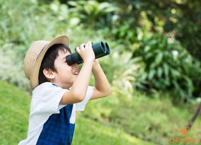 Các phương pháp tăng khả năng quan sát cho trẻ được các mẹ Nhật áp dụng