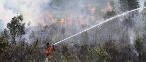 Indonesian forest fires burn