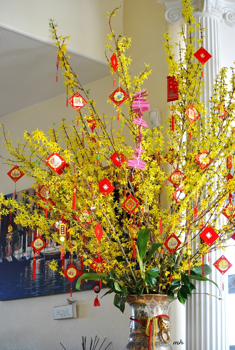 Trang trí cây mai ngày Tết