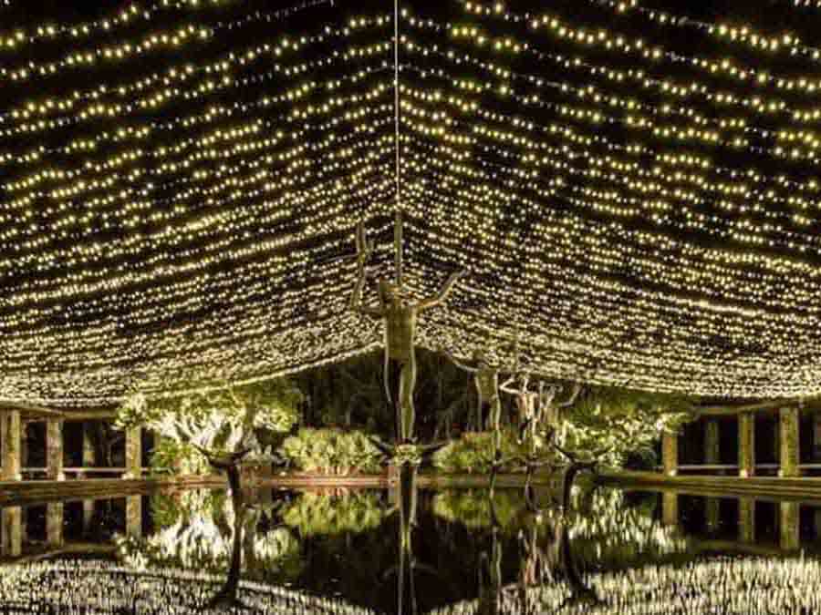 Hình ảnh đêm Giáng sinh tại South Carolina