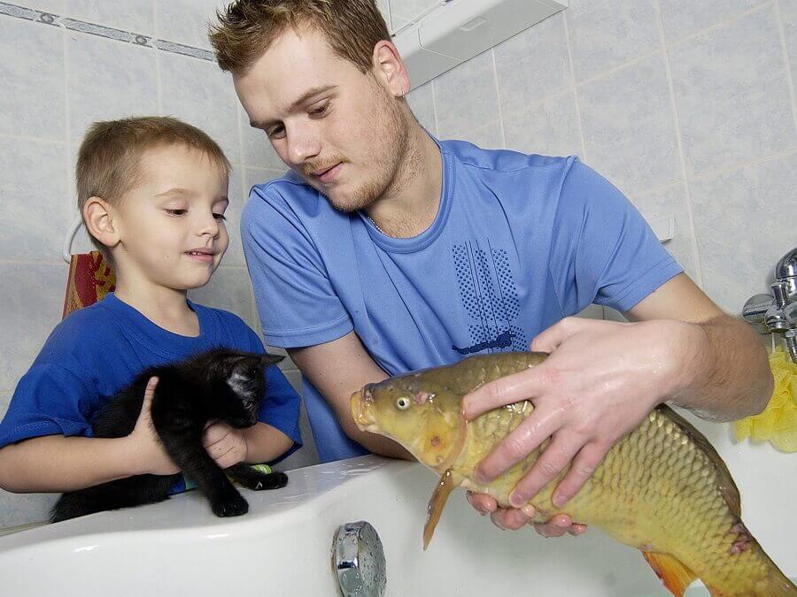 thả cá chép vào bồn tắm