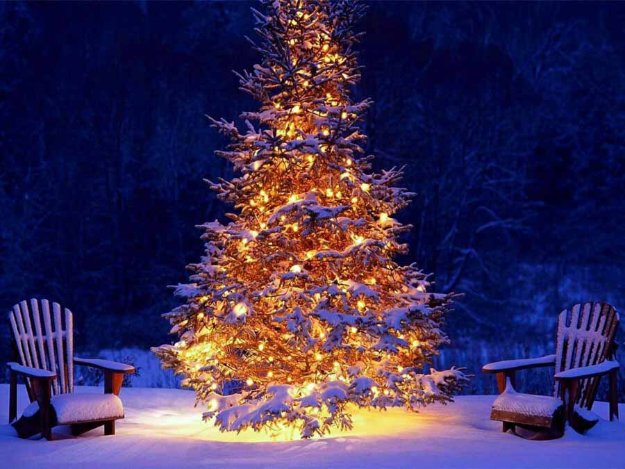 10 ý tưởng trang trí cây thông Noel mùa Giáng sinh cực độc và sáng tạo