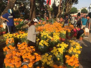 Chợ hoa Tết ở Sài Gòn