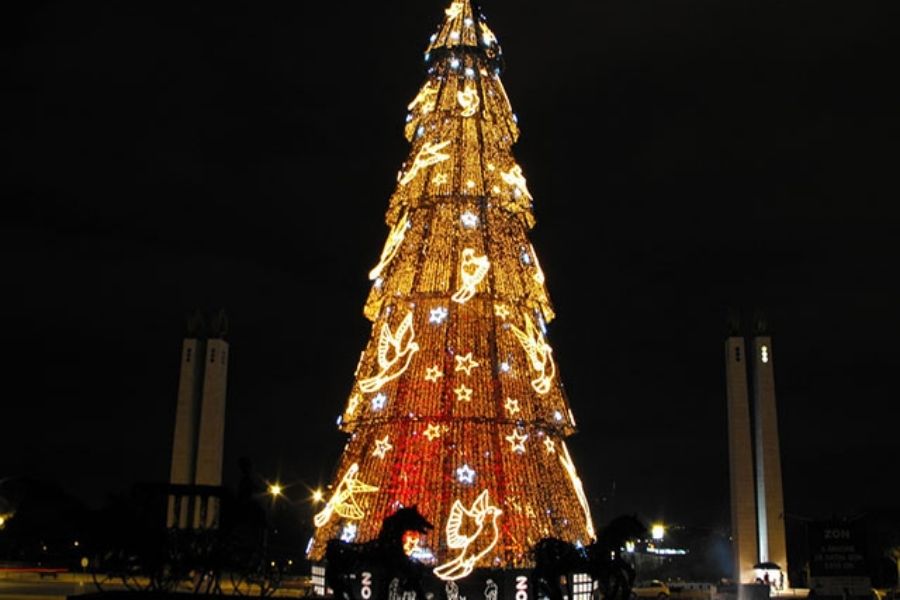  Cây thông Giáng sinh lớn nhất châu Âu