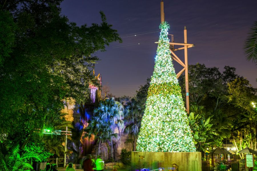 Công viên giải trí tại thị trấn Busch Gardens Tampa (Mỹ)